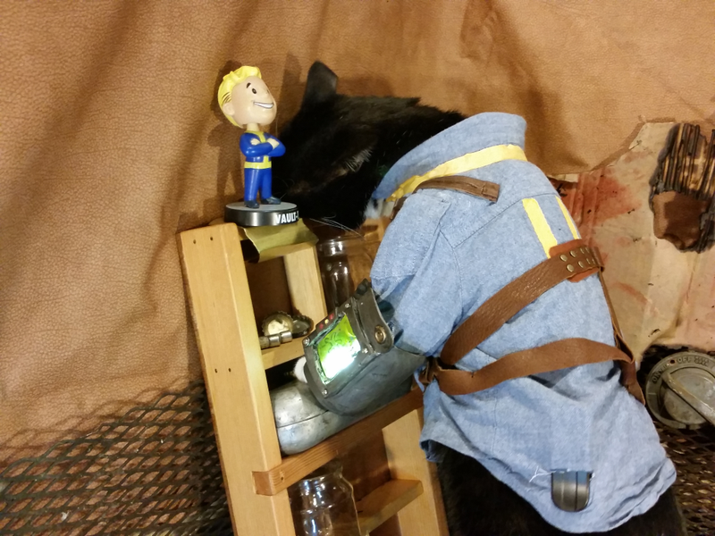 Illustration for article titled We've Had Enough Fallout Dogs. It's Vault Cat's Time.